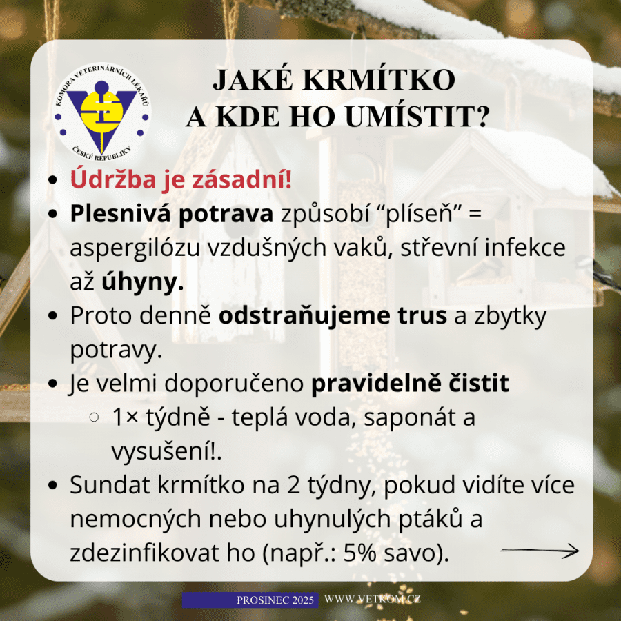 2025-12-08-09. jak se starat o krmítko.png